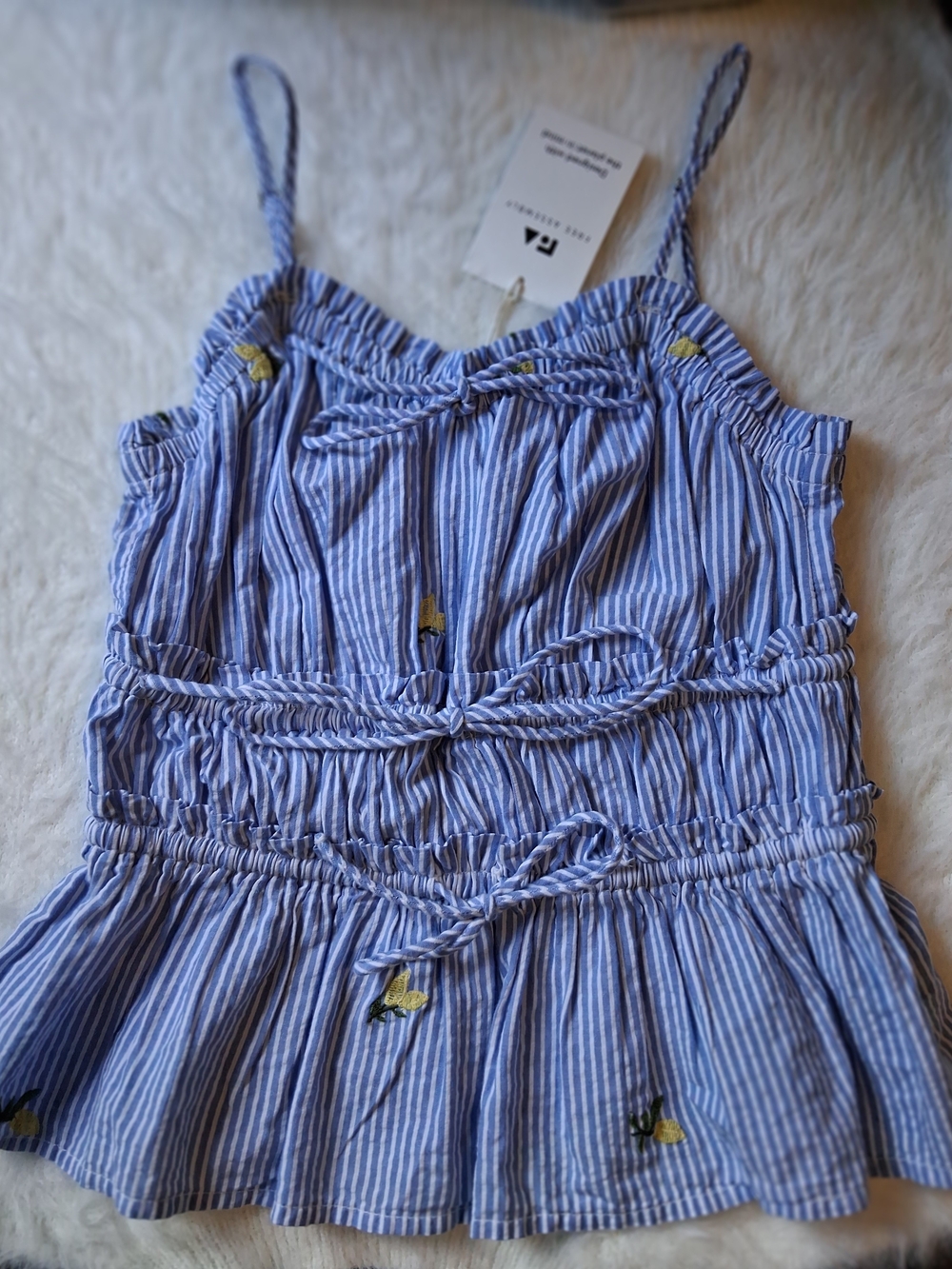 Free Assembly Striped Blue Lemon-Embroidered Crop Cami Top